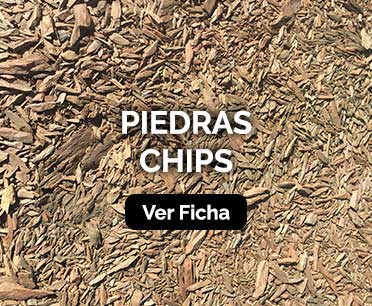Piedras Chips
