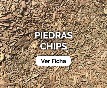 Piedras Chips